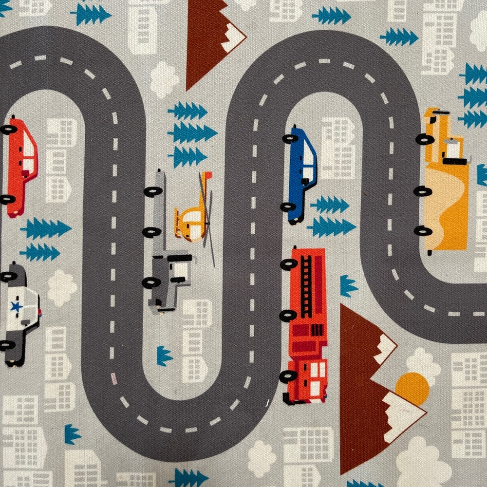 Pillowfort Road Rug 30x48”
